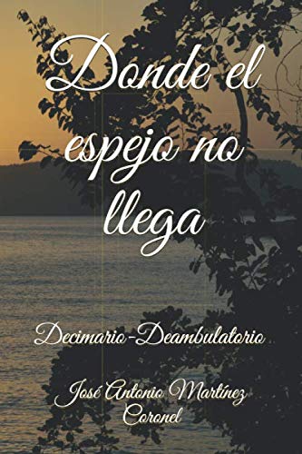 Imagen de archivo de Donde el espejo no llega: Decimario-Deambulatorio a la venta por Revaluation Books