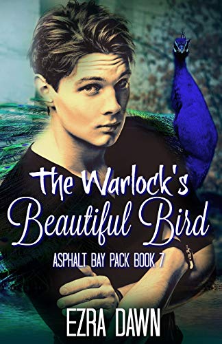 Stock image for The Warlock's Beautiful Bird (Asphalt Bay Pack) for sale by Lucky's Textbooks