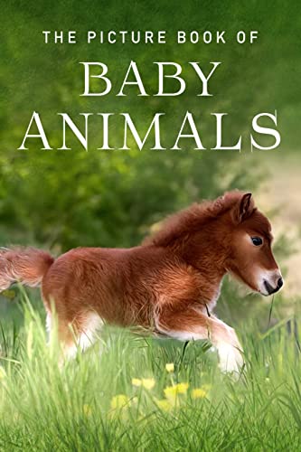 Beispielbild fr The Picture Book of Baby Animals: A Gift Book for Alzheimer's Patients and Seniors with Dementia (Picture Books - Animals) zum Verkauf von BooksRun