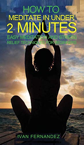 Imagen de archivo de How to Meditate in Under 2 Minutes: Easy Meditation and Stress Relief Techniques for Beginners a la venta por Books From California