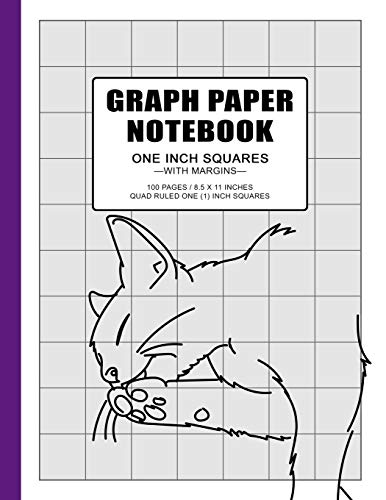 Graphing 2024 paper notebook
