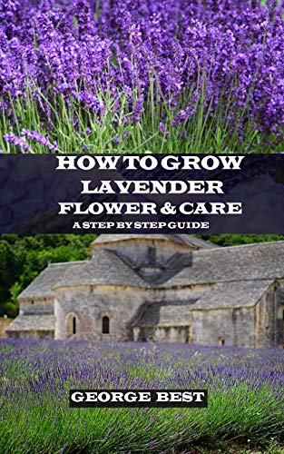 9781690929550: How to Grow Lavender Flower and Care: A Step by Step Guide