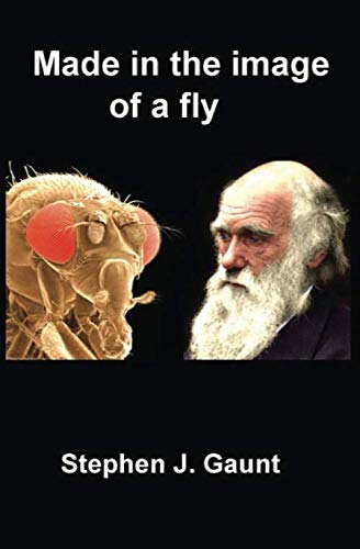 Imagen de archivo de Made in the image of a fly a la venta por Revaluation Books