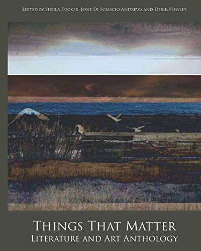 Stock image for Things That Matter: Literature and Art Anthology Second Edition for sale by Revaluation Books