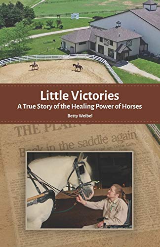 Stock image for Little Victories: A True Story of the Healing Power of Horses for sale by ThriftBooks-Dallas