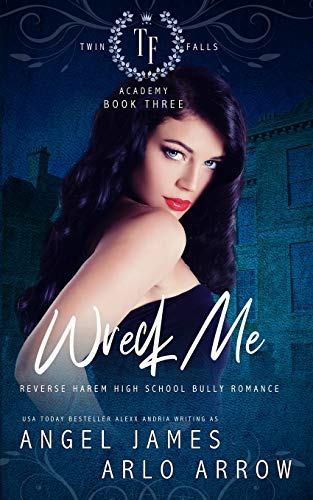 9781693616686: Wreck Me (Reverse Harem Bully High School Romance): 3 (Twin Falls Academy)