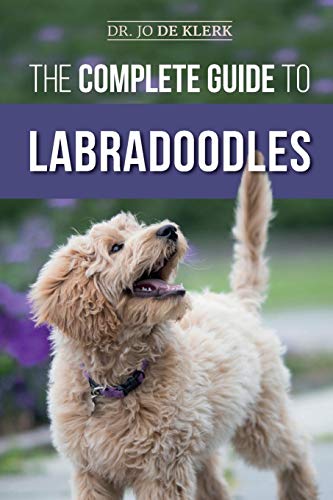 Beispielbild fr The Complete Guide to Labradoodles: Selecting, Training, Feeding, Raising, and Loving your new Labradoodle Puppy zum Verkauf von WorldofBooks