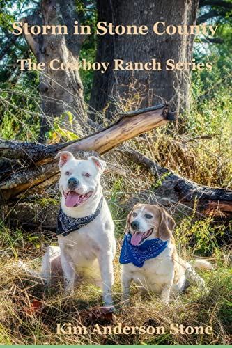 9781694113498: Storm in Stone County: 7 (The Cowboy Ranch)