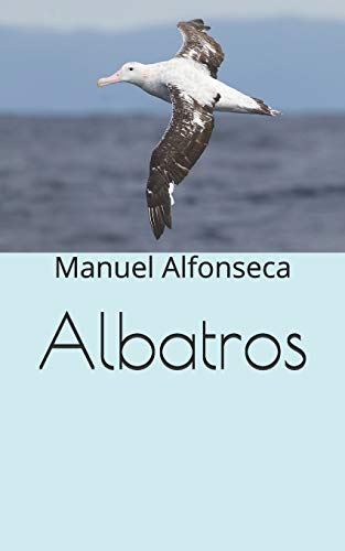 9781694566102: Albatros