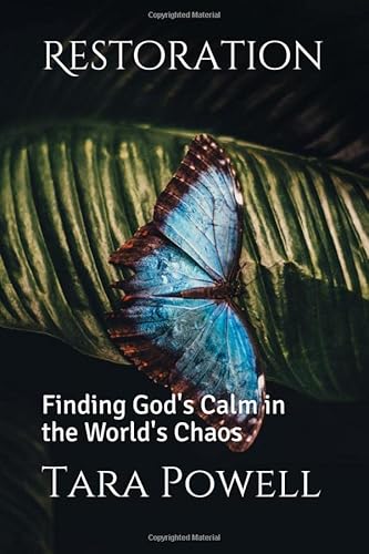 Beispielbild fr Restoration: Finding God's Calm in the World's Chaos zum Verkauf von Revaluation Books