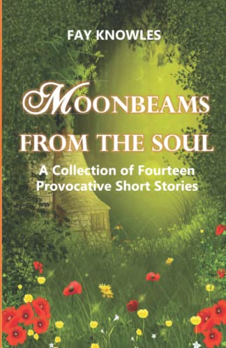 Imagen de archivo de MOONBEAMS FROM THE SOUL: A Collection of Fourteen Provocative Short Stories a la venta por WorldofBooks