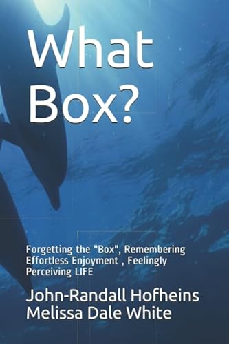 Beispielbild fr What Box?: Forgetting the Box, Walking into Nothingness, Getting Surprised by Everything (New Frequency Fables) zum Verkauf von Revaluation Books
