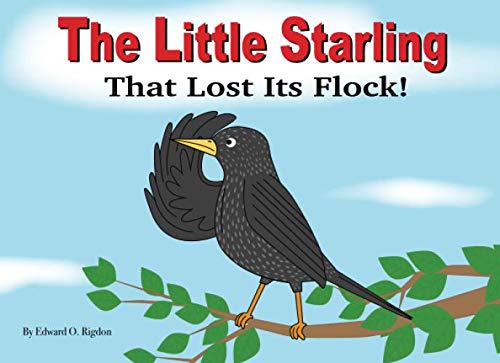 Imagen de archivo de The Little Starling That Lost It's Flock! a la venta por Revaluation Books