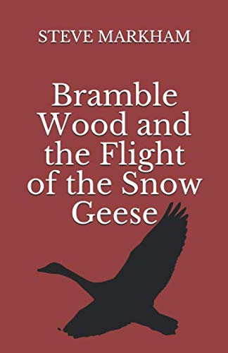 Imagen de archivo de Bramble Wood and the Flight of the Snow Geese a la venta por Revaluation Books