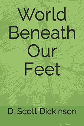 Imagen de archivo de World Beneath Our Feet a la venta por Revaluation Books