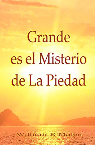 Beispielbild fr Grande es el Misterio de La Piedad (Spanish Edition) zum Verkauf von Lucky's Textbooks