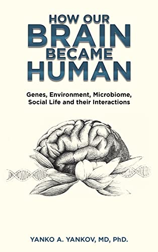 Beispielbild fr How Our Brain Became Human: Genes, Environment, Microbiome, Social Life and Their Interactions zum Verkauf von GreatBookPrices