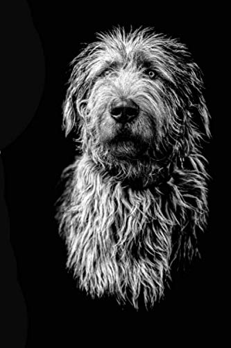 Stock image for The Irish Wolfhound Journal (Diary, Notebook) for sale by Revaluation Books