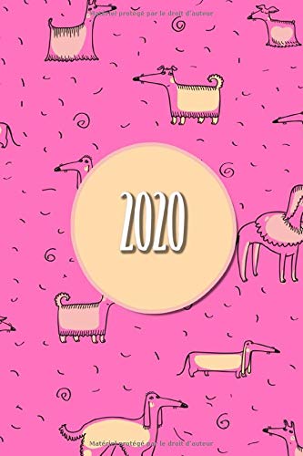 Stock image for 2020: Agenda 2020 scolaire chien |Beau chien calendrier pour 2020! Avec 12 mois format journalier A5 - planificateur for sale by Revaluation Books