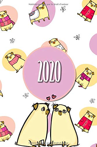 Stock image for 2020: Agenda 2020 scolaire chien |Beau chien calendrier pour 2020! Avec 12 mois format journalier A5 - planificateur for sale by Revaluation Books
