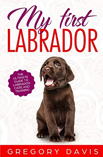 Imagen de archivo de My First Labrador: The Ultimate Guide to Labrador Care and Training a la venta por WorldofBooks