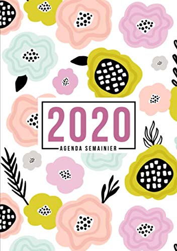 9781700800008: Agenda semainier 2020: Du 1er janvier 2020 au 31 dcembre 2020 : aperu hebdomadaire et mensuel, journal, planificateur & organiseur : Fleurs abstraites en rose et pche 000-8