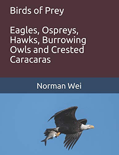Stock image for Birds of Prey: Eagles, Ospreys, Hawks, burrowing owls and crested caracaras for sale by Lucky's Textbooks