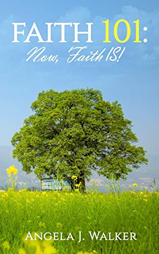 Stock image for Faith 101: NOW, Faith IS! for sale by Lucky's Textbooks