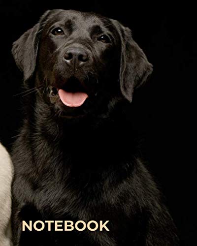 Stock image for Notebook: Labrador retriever Dog Journal | Ruled White Paper | Blank Lined Workbook for Writing Notes | Large Note Book To Write In for sale by Revaluation Books