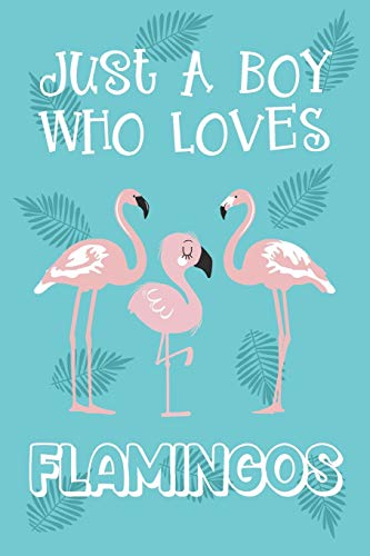 Stock image for Just A Boy Who Loves Flamingos: Flamingo Gifts: Novelty Gag Notebook Gift: Lined Paper Paperback Journal Book for sale by Revaluation Books