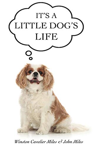 Beispielbild fr It's A Little Dog's Life: Humorous stories told by Winston the Cavalier King Charles Spaniel zum Verkauf von WorldofBooks