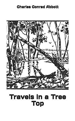 Stock image for Travels in a Tree Top [Soft Cover ] for sale by booksXpress