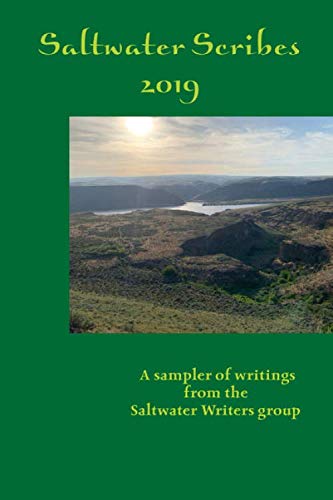 Imagen de archivo de Saltwater Scribes 2019 a la venta por Revaluation Books