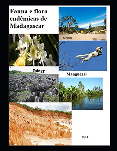 Stock image for Fauna e Flora endmicas de Madagascar for sale by Revaluation Books