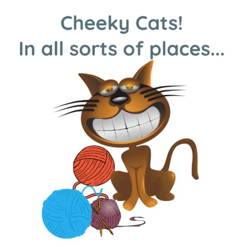 9781702698467: Cheeky Cats!: In All Sorts Of Places...