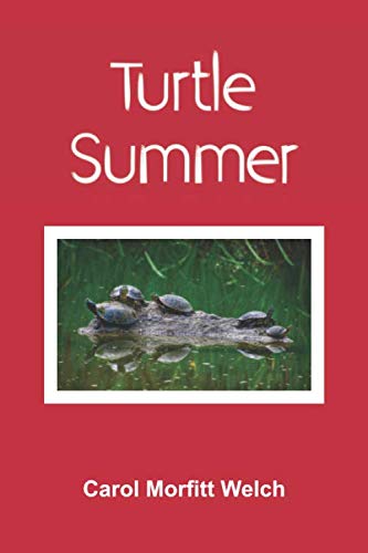 Stock image for Turtle Summer (Turtle Delights) for sale by ThriftBooks-Atlanta