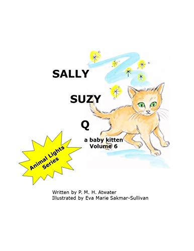 9781703752564: Sally Suzy Q: 6 (Animal Lights)