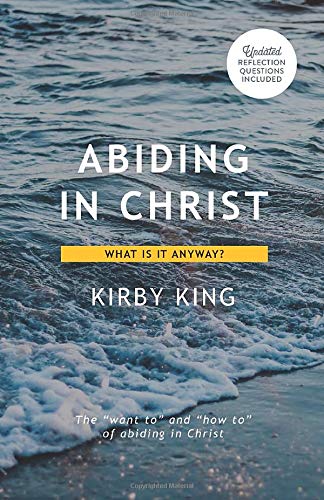 Beispielbild fr Abiding in Christ: What is it Anyway? zum Verkauf von SecondSale