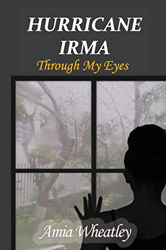 Stock image for Hurricane Irma Through My Eyes for sale by Lucky's Textbooks