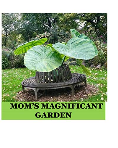 Stock image for Mom's Magnificent Garden for sale by Revaluation Books