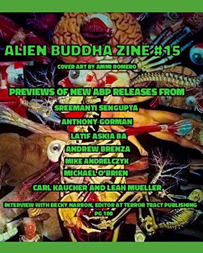 Stock image for Alien Buddha Zine #15 for sale by Revaluation Books