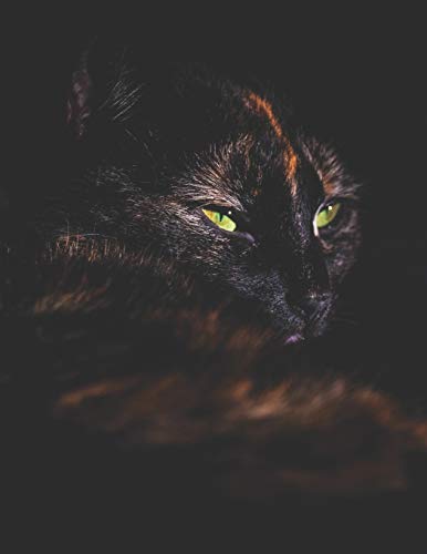 Beispielbild fr Black Cat Black Paper Notebook: Beautiful Blank Lined Composition Notebook for Taking Notes | Use with Colored Pencils, Metallic Markers, Gel & Ink . to Write in (Cute Gift for Cat Lovers) zum Verkauf von Revaluation Books