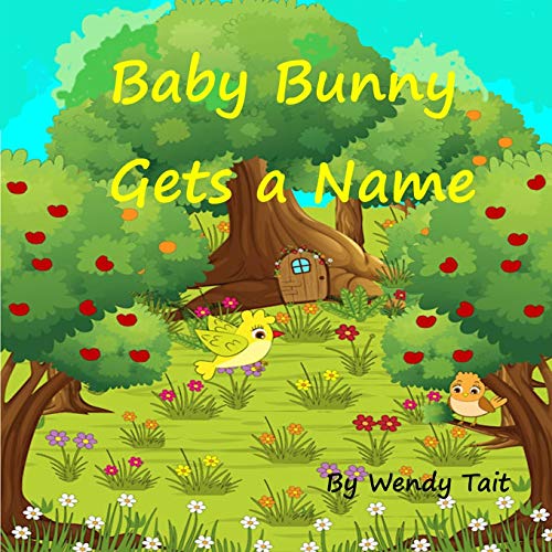 9781708702076: Baby Bunny Gets a Name