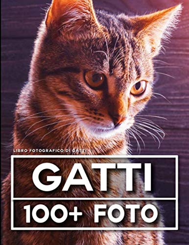 Libro Fotografico Di Gatti: 100 Bellissime Foto In Questo Fantastico  Fotolibro - Villaneuva, Jana: 9781710183290 - AbeBooks