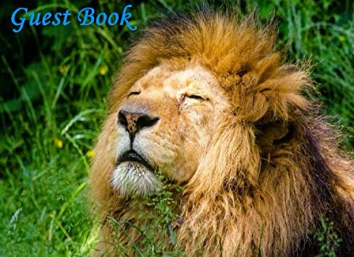 Stock image for Guest Book: Lion Guest Book For Birthday Party, Boy Gender Reveal Party, Baby Shower for sale by Revaluation Books