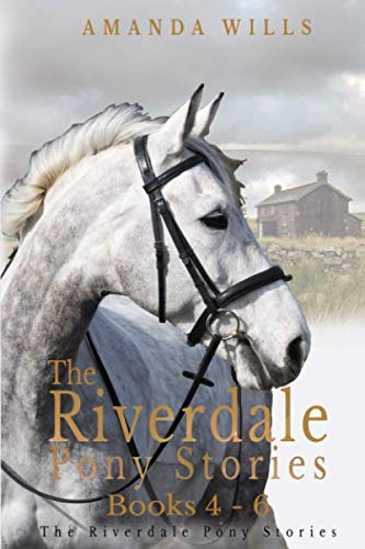 Beispielbild fr The Riverdale Pony Stories Omnibus Edition (Books 4-6): Redhall Riders, The Secret of Witch Cottage and Missing on the Moor zum Verkauf von WorldofBooks