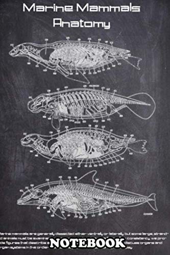 Beispielbild fr Notebook: Marine Mammals Are Aquatic Mammals That Rely On The Oce , Journal for Writing, College Ruled Size 6" x 9", 110 Pages zum Verkauf von Revaluation Books