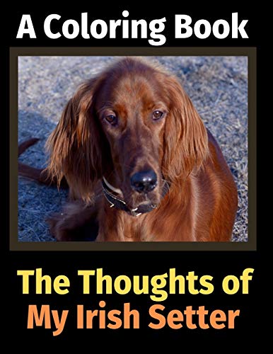 Stock image for The Thoughts of My Irish Setter: A Coloring Book [Soft Cover ] for sale by booksXpress