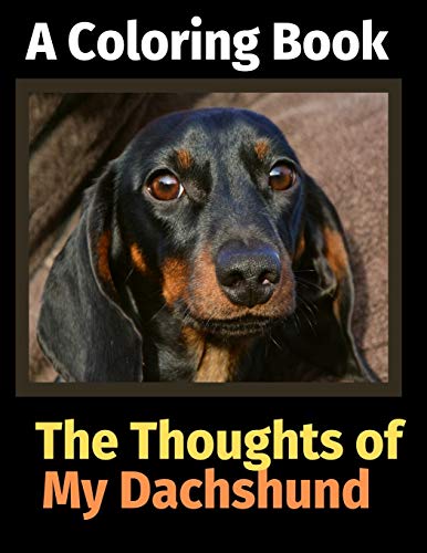 9781712252369: The Reflections of My Dachshund: A Coloring Book