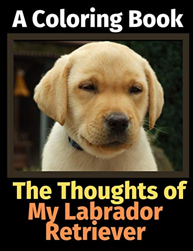 Stock image for The Thoughts of My Labrador Retriever: A Coloring Book for sale by Chiron Media